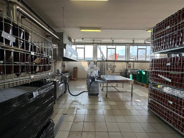 negozio in vendita a Canale