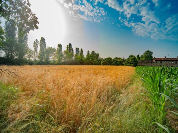 terreno agricolo in vendita a Caraglio