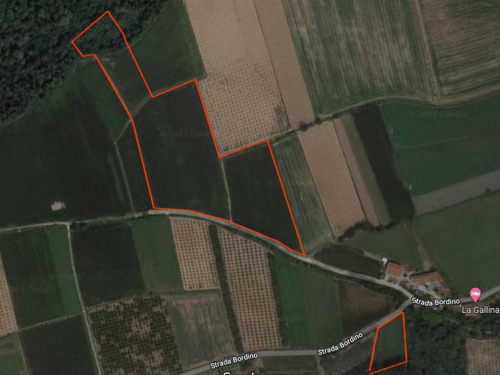 terreno agricolo in vendita a Carrù