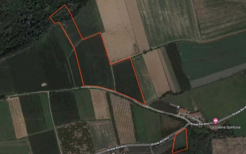 terreno agricolo in vendita a Carrù
