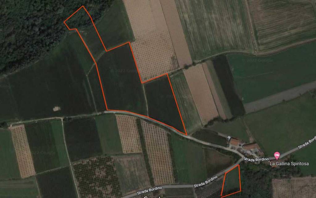 casa indipendente in vendita a Carrù