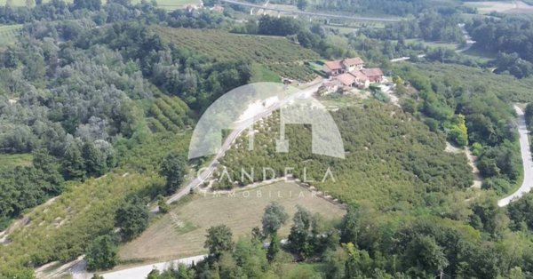 immagine annuncio 0 di 15