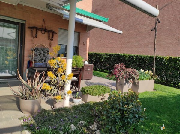 casa indipendente in vendita a Carrù