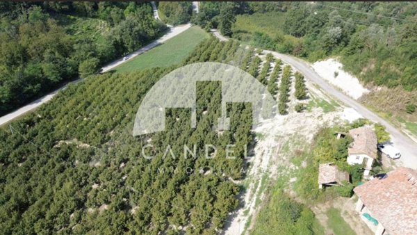 casa indipendente in vendita a Carrù in zona Bordino