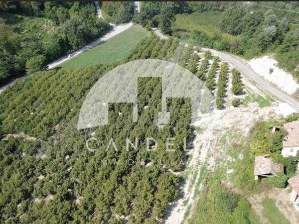 casa indipendente in vendita a Carrù in zona Bordino