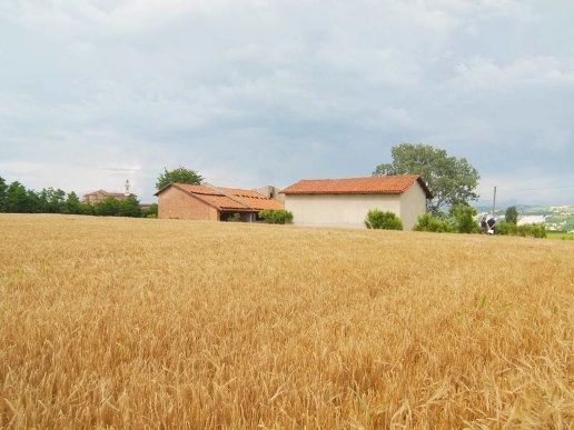 casale in vendita a Carrù in zona Ronchi
