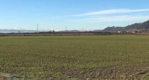 terreno agricolo in vendita a Castagnito