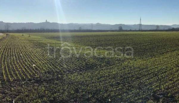 terreno agricolo in vendita a Castagnito