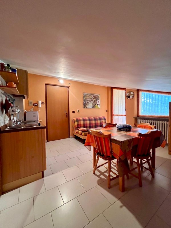 appartamento in vendita a Casteldelfino