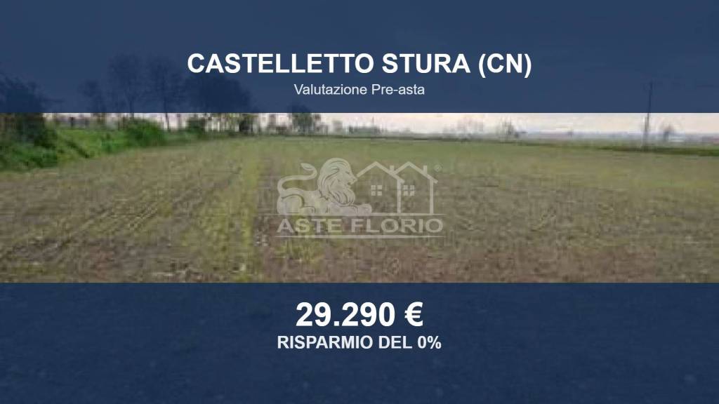 terreno agricolo in vendita a Castelletto Stura