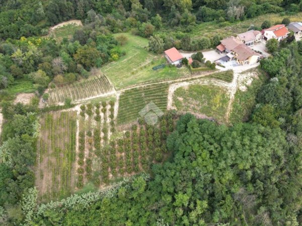 terreno agricolo in vendita a Castellinaldo d'Alba