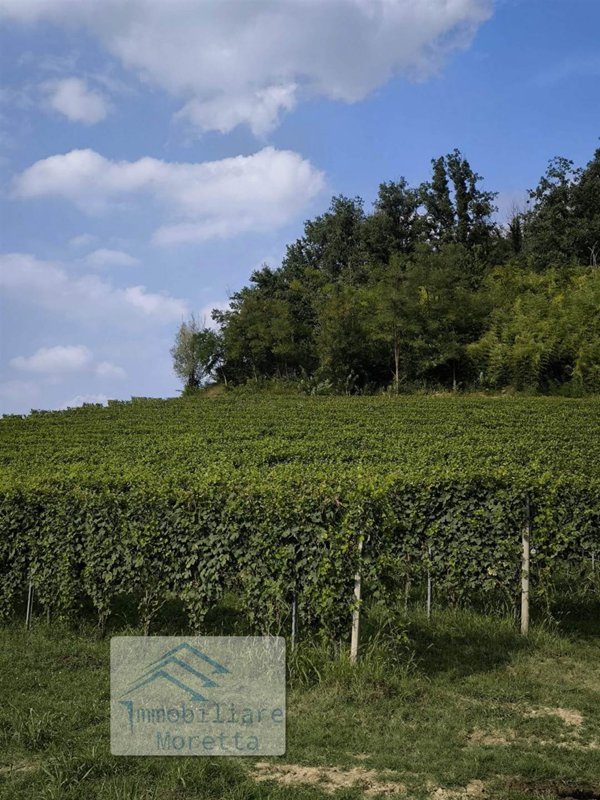 terreno agricolo in vendita a Castellinaldo d'Alba