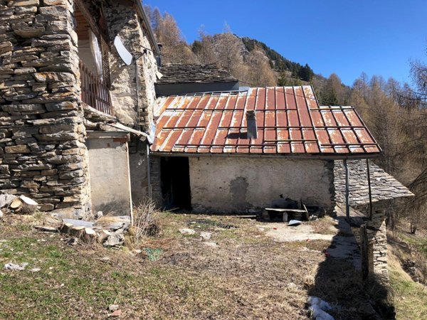 pentavano in vendita a Castelmagno in zona Chiappi