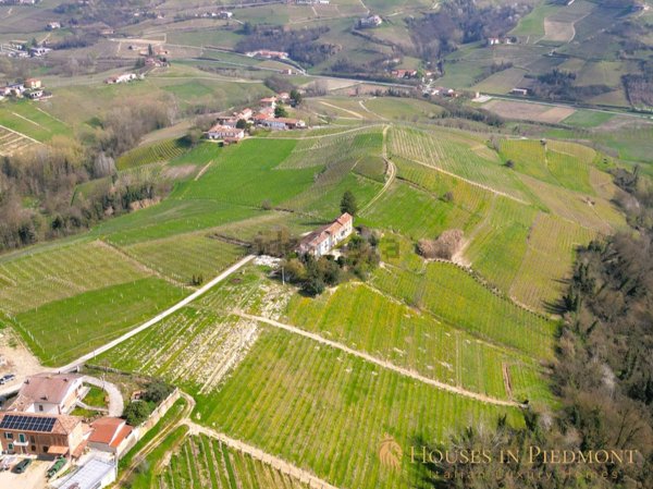 esavano in vendita a Castiglione Tinella