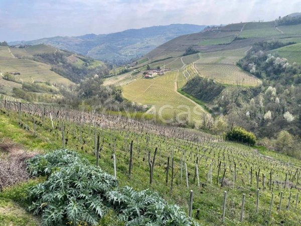 terreno agricolo in vendita a Castiglione Tinella in zona San Giorgio