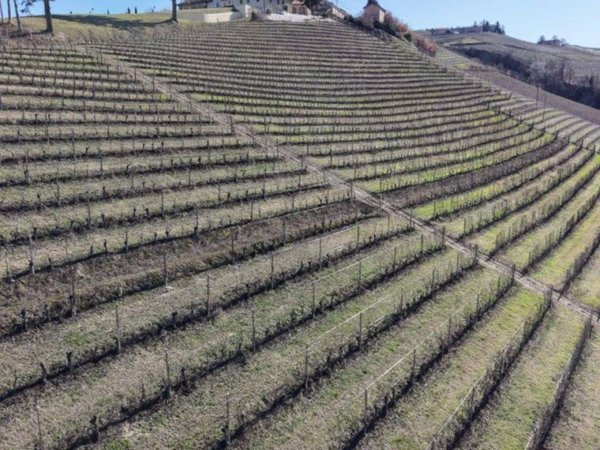 terreno agricolo in vendita a Castiglione Tinella in zona San Carlo