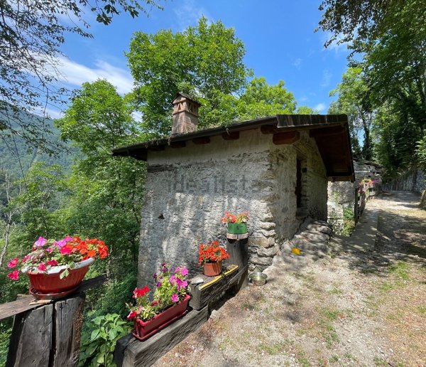 immagine annuncio 0 di 1