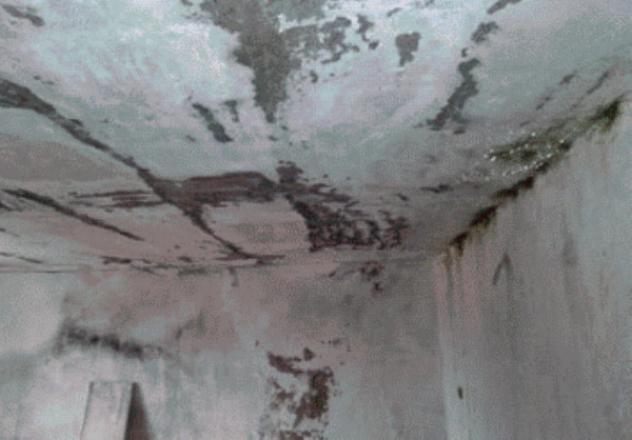 terreno edificabile in vendita ad Acerno