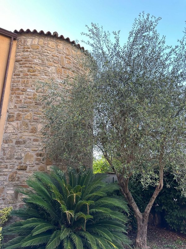 appartamento in vendita ad Agropoli