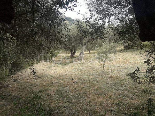 terreno agricolo in vendita ad Agropoli
