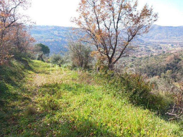 terreno agricolo in vendita ad Agropoli