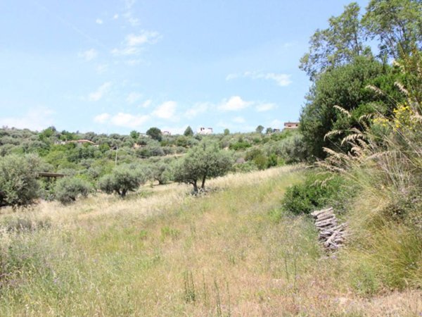 terreno agricolo in vendita ad Agropoli