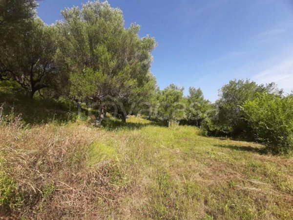terreno agricolo in vendita ad Agropoli