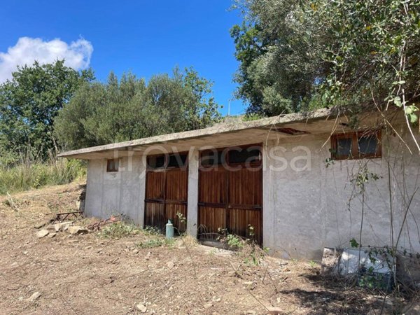 terreno agricolo in vendita ad Agropoli