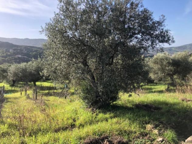 terreno agricolo in vendita ad Agropoli
