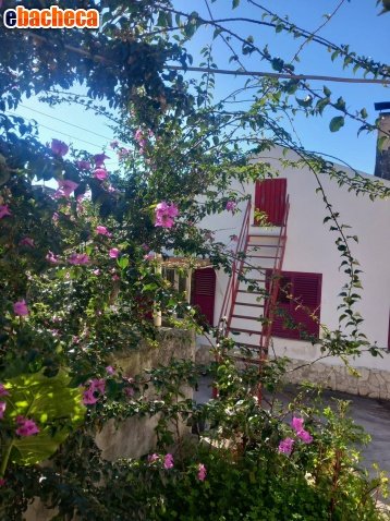 appartamento in vendita ad Agropoli