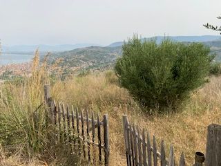 terreno agricolo in vendita ad Agropoli
