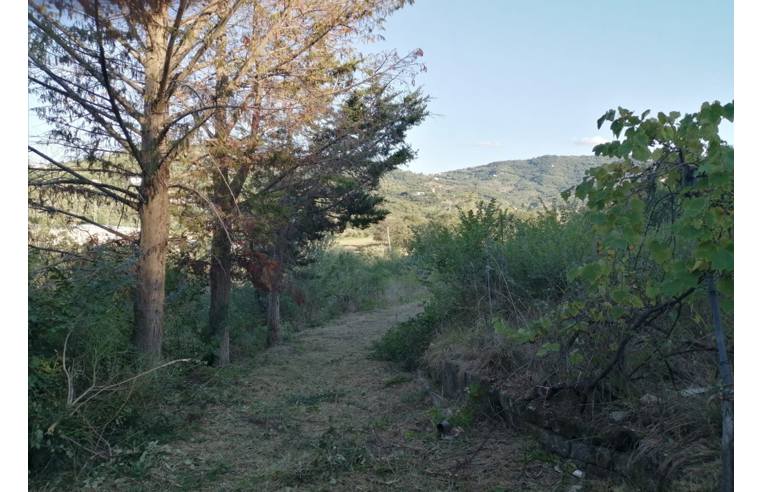 terreno agricolo in vendita ad Agropoli