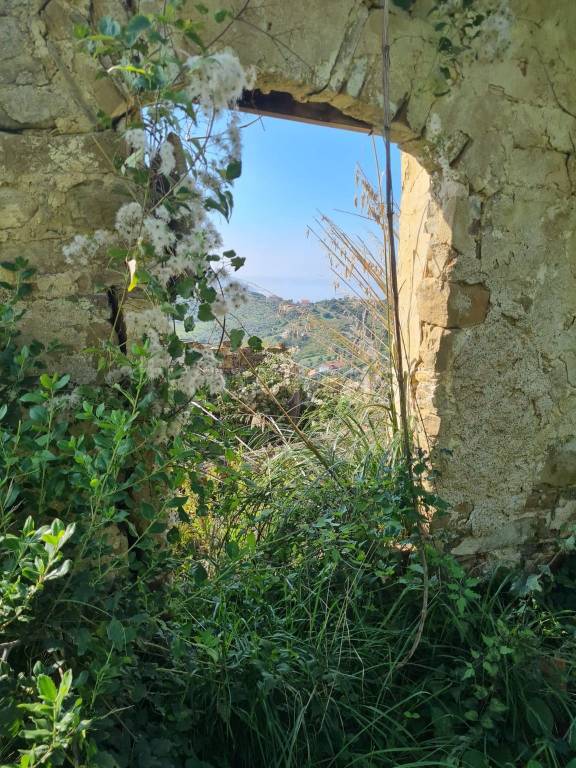 casa indipendente in vendita ad Agropoli