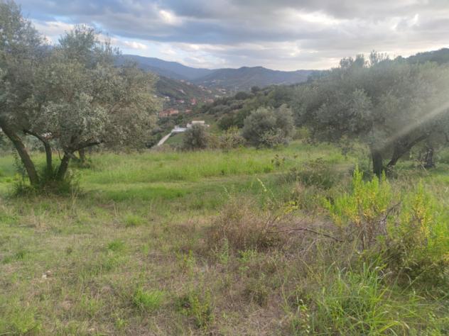 terreno agricolo in vendita ad Agropoli