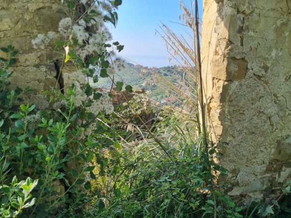 terreno agricolo in vendita ad Agropoli