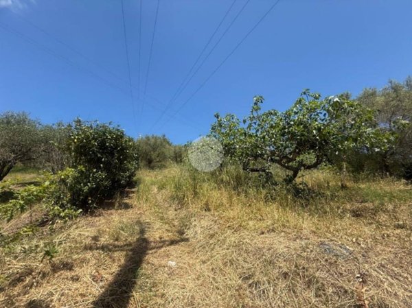 terreno agricolo in vendita ad Agropoli