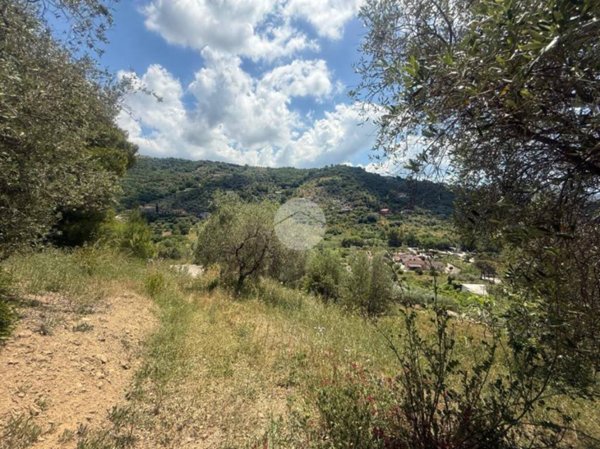 terreno agricolo in vendita ad Agropoli