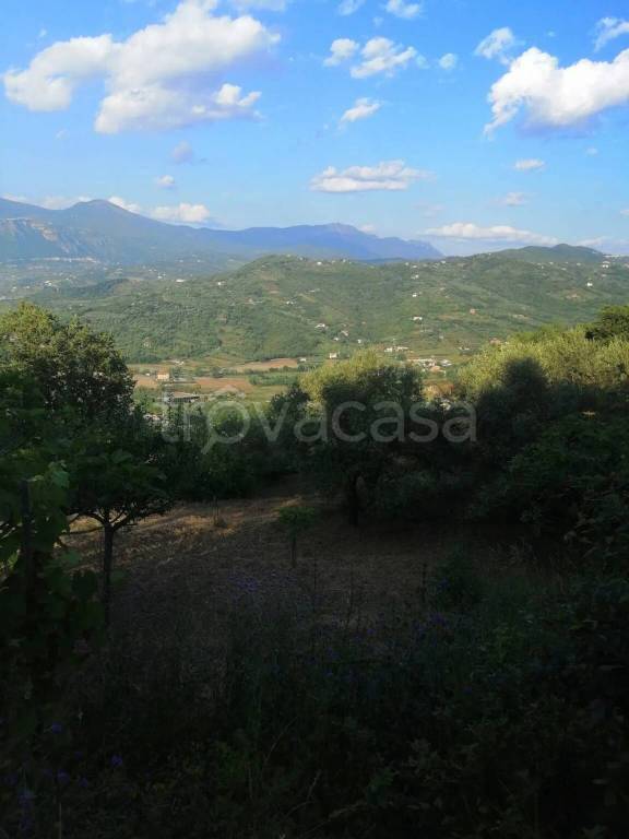 terreno agricolo in vendita ad Agropoli