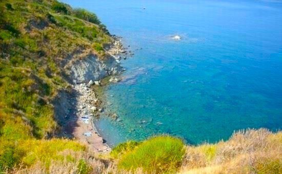 negozio in vendita ad Agropoli