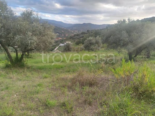 terreno agricolo in vendita ad Agropoli