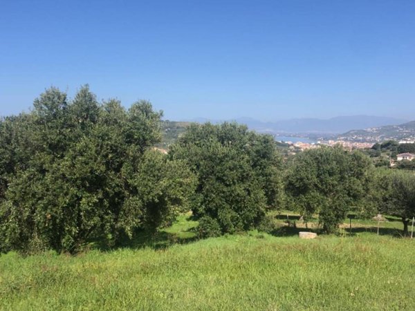 terreno agricolo in vendita ad Agropoli