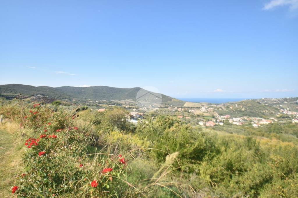 terreno agricolo in vendita ad Agropoli