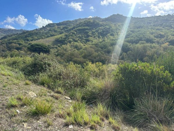 terreno agricolo in vendita ad Agropoli