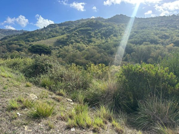 terreno agricolo in vendita ad Agropoli