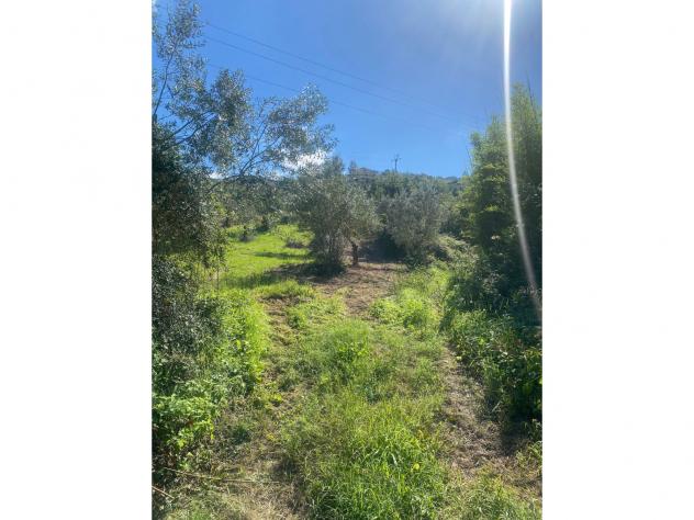 terreno agricolo in vendita ad Agropoli