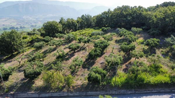 appartamento in vendita ad Agropoli