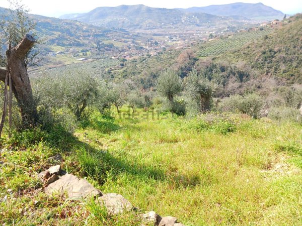 terreno agricolo in vendita ad Agropoli