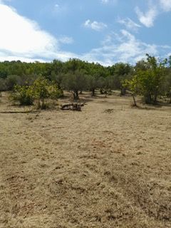 terreno agricolo in vendita ad Agropoli