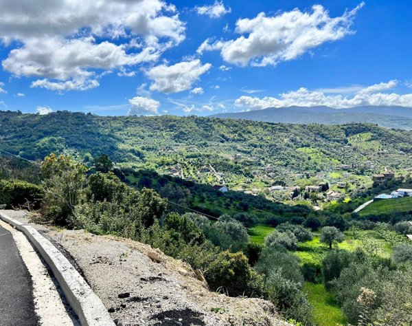 terreno agricolo in vendita ad Agropoli