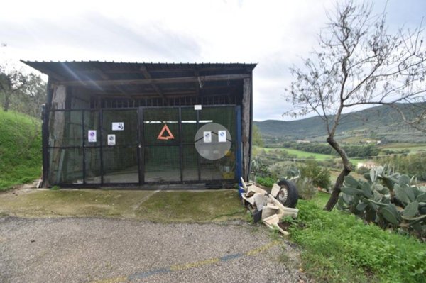 terreno agricolo in vendita ad Agropoli